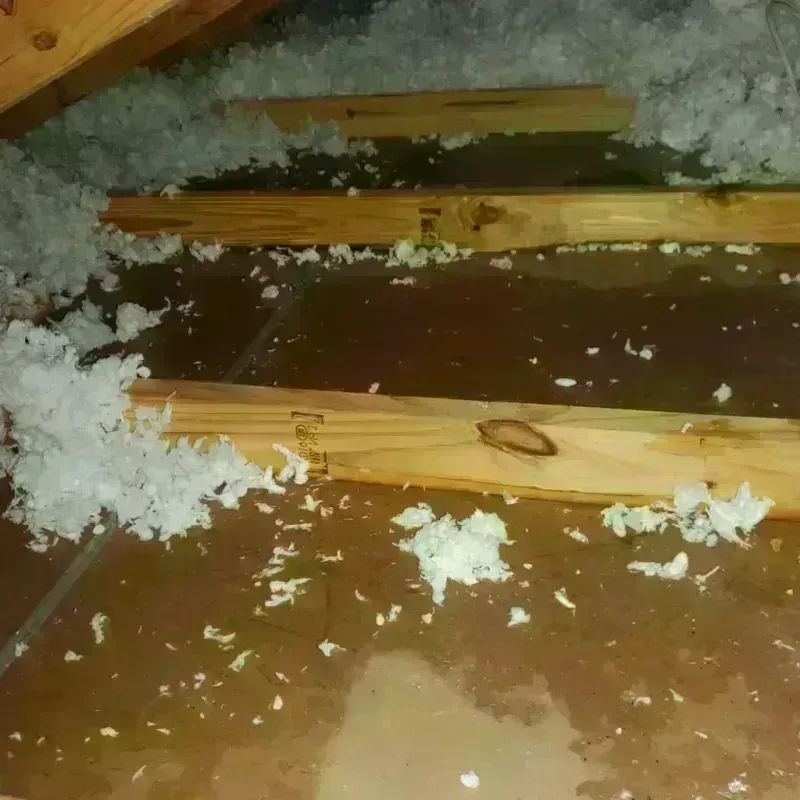 Attic Water Damage in Galena Park, TX